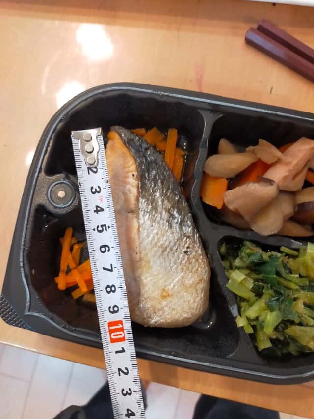 わんまいる美食弁当 鮭の大きさ