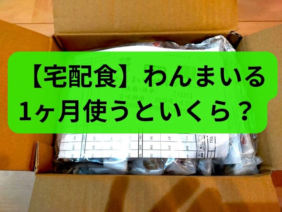 わんまいるの宅配食が入った段ボールを開封した様子。「【宅配食】わんまいる 1ヶ月使うといくら？」のテキストが表示されている。